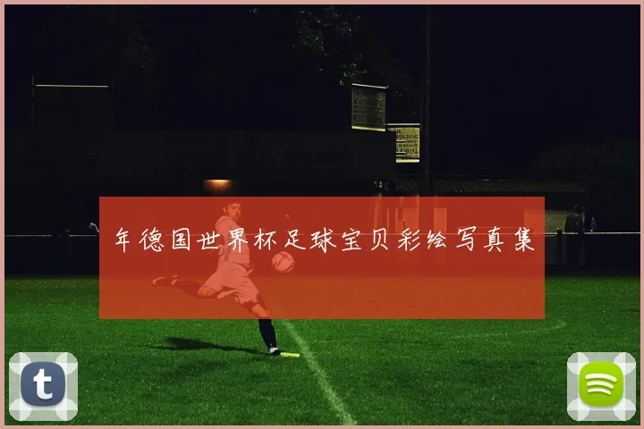 年德国世界杯足球宝贝彩绘写真集