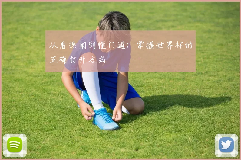 从看热闹到懂门道：掌握世界杯的正确打开方式